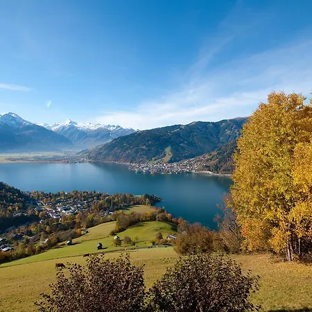 Hammerschmidt Maishofen