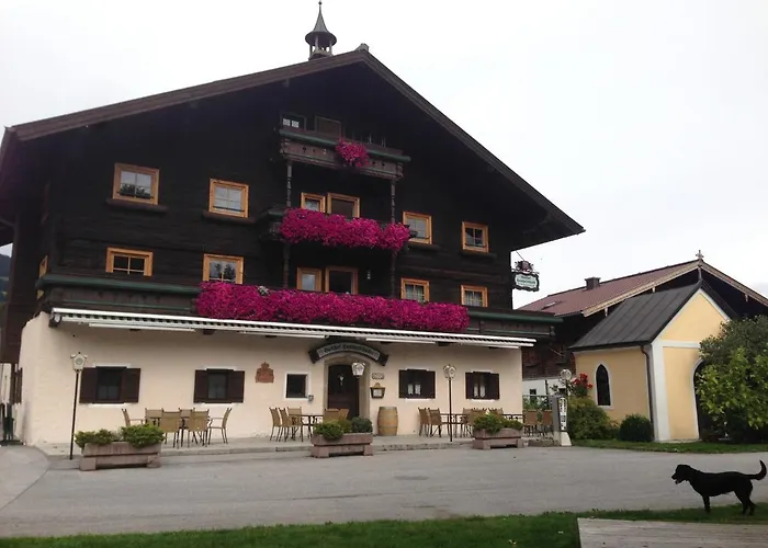 Hammerschmidt דירה *