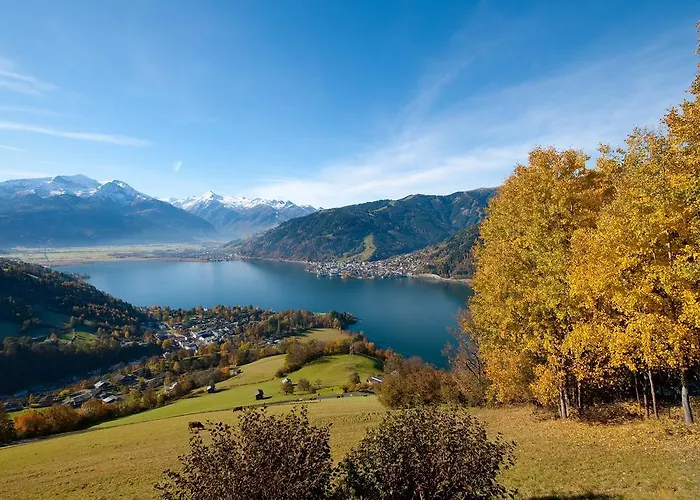 Hammerschmidt מאיסהופן